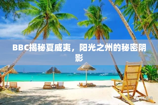 夏威夷，陽光下的秘密陰影