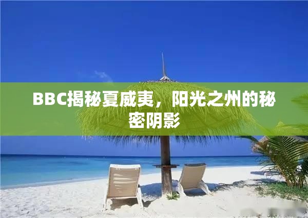 夏威夷，陽光下的秘密陰影