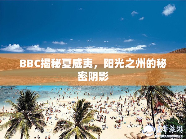 夏威夷，陽光下的秘密陰影