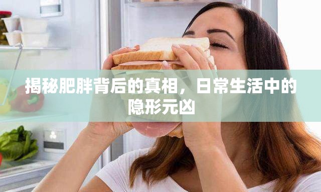 揭秘肥胖背后的真相，日常生活中的隱形元兇