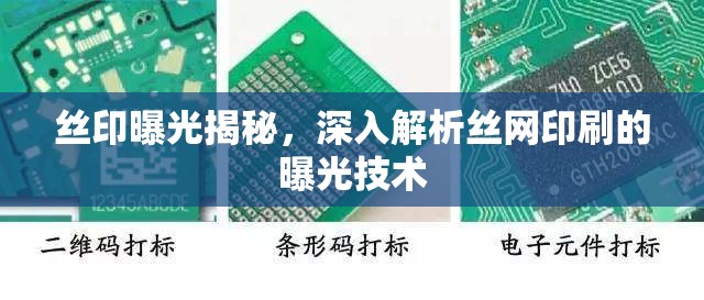 絲印曝光揭秘，深入解析絲網(wǎng)印刷的曝光技術(shù)