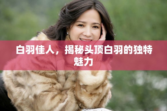 白羽佳人，揭秘頭頂白羽的獨(dú)特魅力