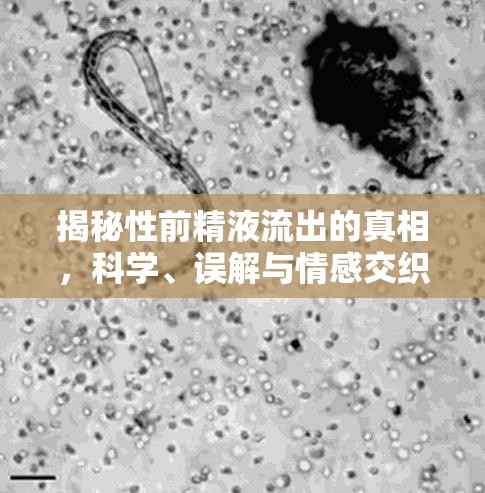 精液流出，科學(xué)解析、常見誤區(qū)與情感因素