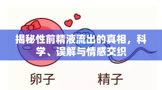 精液流出，科學(xué)解析、常見誤區(qū)與情感因素