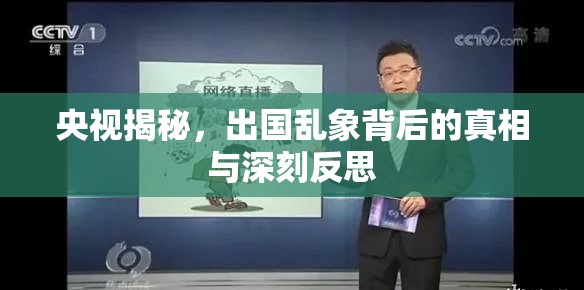 揭秘出國亂象，央視深度剖析背后的真相與反思