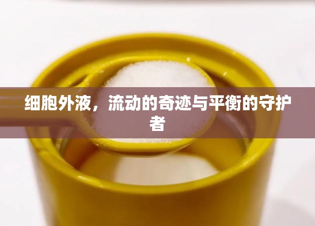細胞外液，生命流動的奇跡與平衡的守護者
