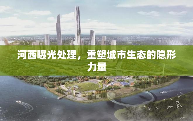 河西生態(tài)重塑，隱形力量下的城市規(guī)劃與治理