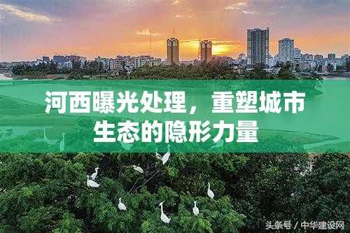 河西生態(tài)重塑，隱形力量下的城市規(guī)劃與治理