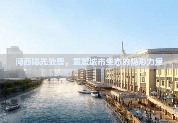 河西生態(tài)重塑，隱形力量下的城市規(guī)劃與治理