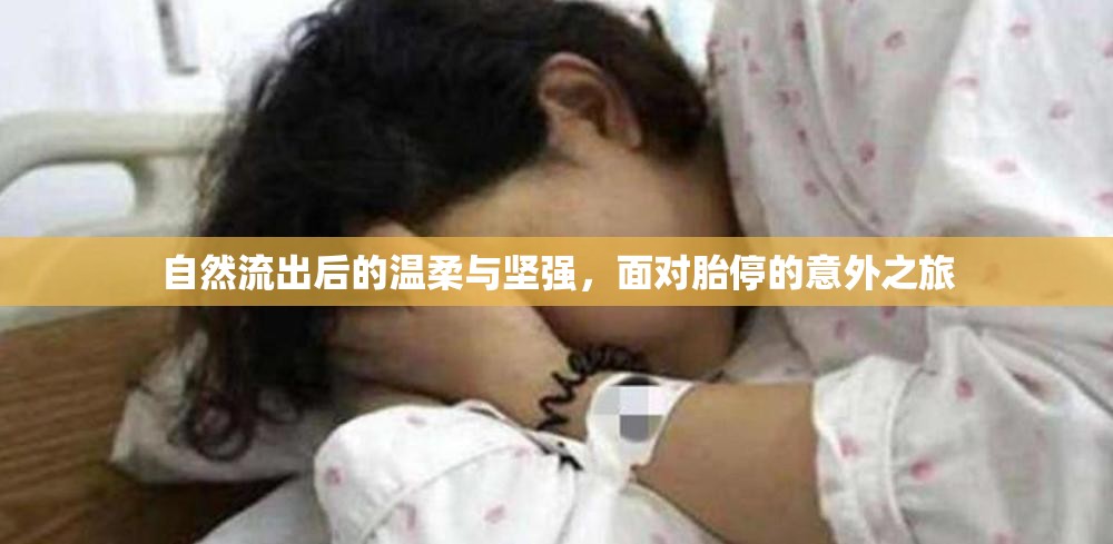 溫柔與堅(jiān)強(qiáng)，面對(duì)胎停意外之旅的心路歷程