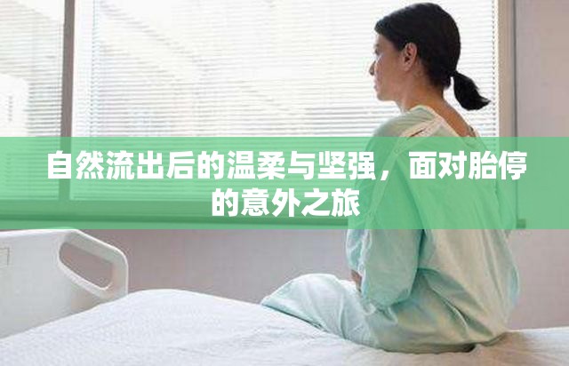溫柔與堅(jiān)強(qiáng)，面對(duì)胎停意外之旅的心路歷程