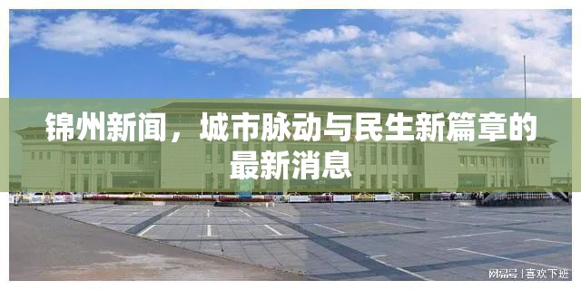 錦州城市脈動(dòng)，民生新篇章的最新報(bào)道