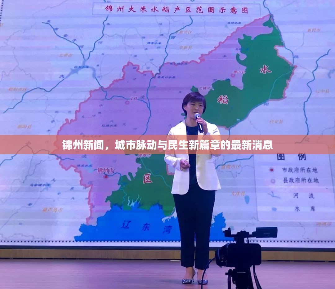 錦州城市脈動(dòng)，民生新篇章的最新報(bào)道