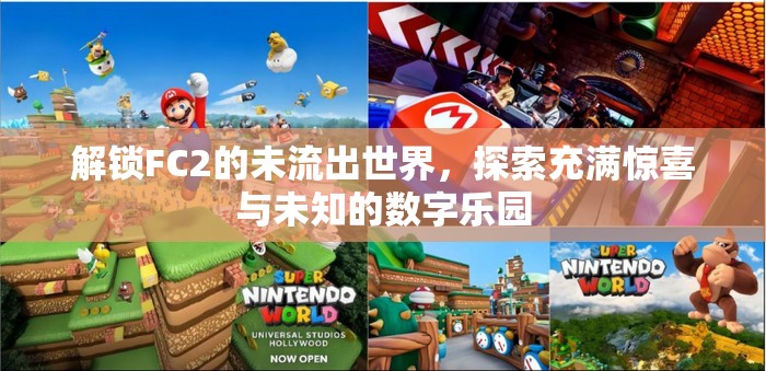 揭秘FC2，探索數(shù)字樂園的未知領域