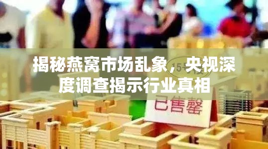 央視揭秘，燕窩市場真相大調(diào)查