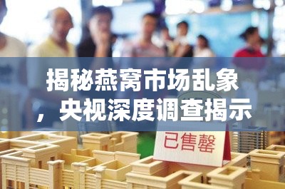 央視揭秘，燕窩市場真相大調(diào)查