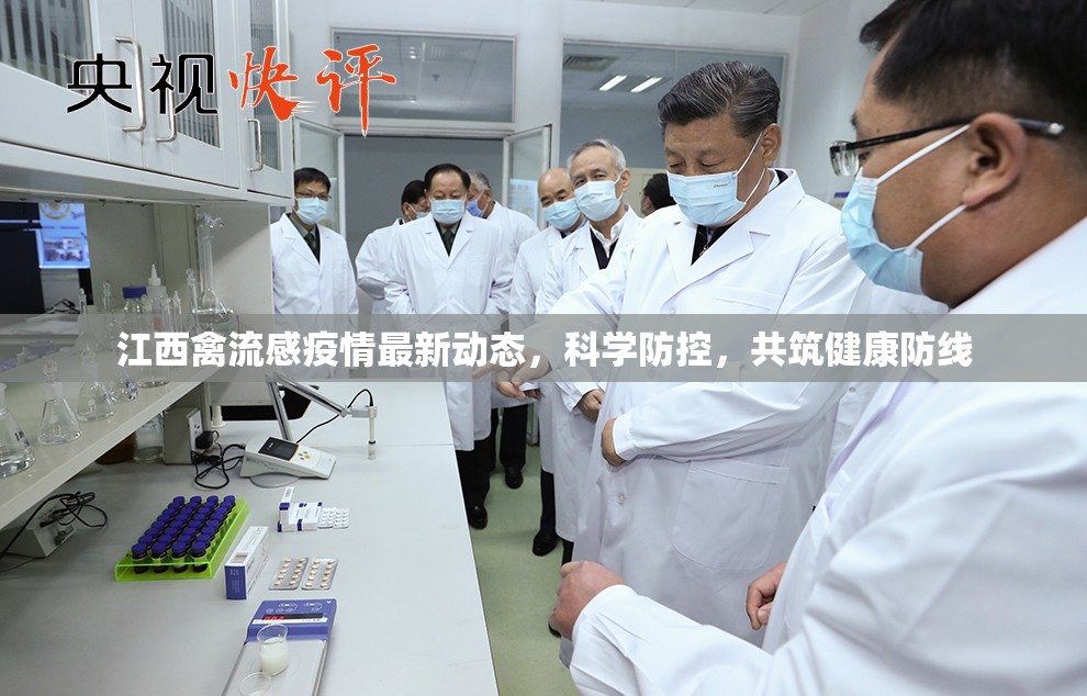 江西禽流感疫情，科學(xué)防控策略與健康防線構(gòu)建
