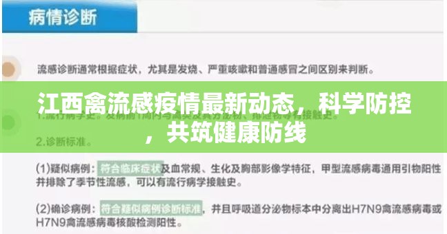 江西禽流感疫情，科學(xué)防控策略與健康防線構(gòu)建