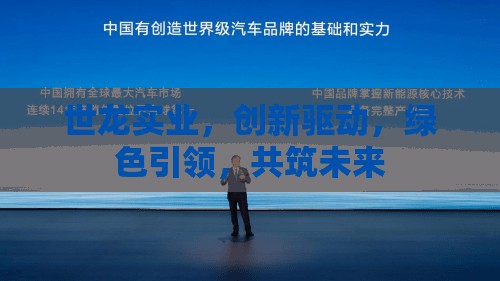 世龍實業(yè)，創(chuàng)新驅動，綠色引領，共筑未來