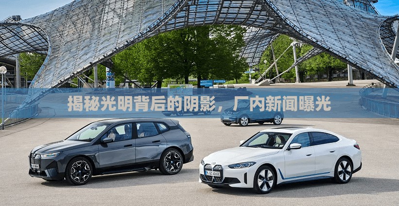 揭秘光明背后的陰影，廠內(nèi)新聞曝光