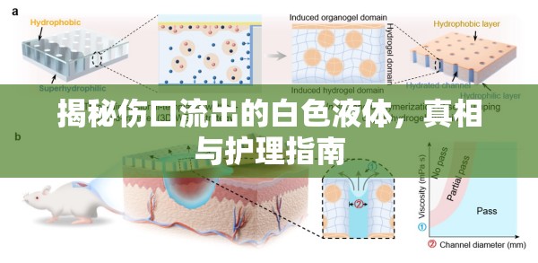 傷口白色液體，真相探究與護理策略