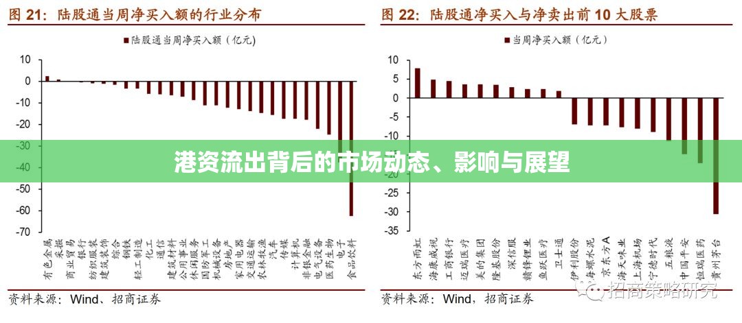 港資外流，市場(chǎng)動(dòng)態(tài)、影響及未來(lái)展望分析