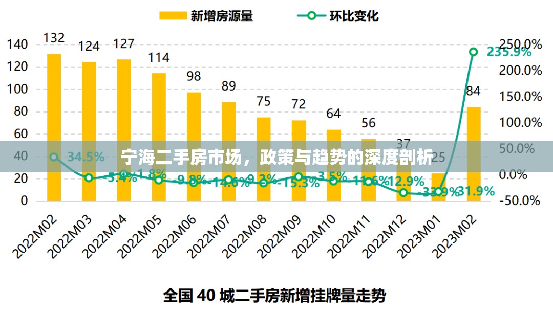 寧海二手房市場(chǎng)，政策影響與未來(lái)趨勢(shì)深度解析