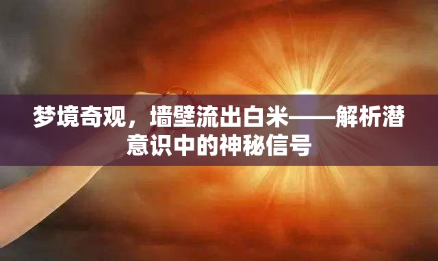 夢境中的神秘信號，墻壁白米流的潛意識解析