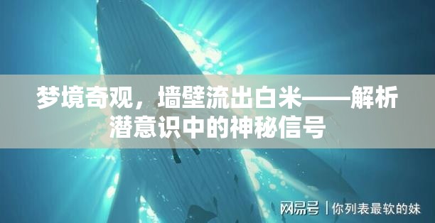 夢境中的神秘信號，墻壁白米流的潛意識解析