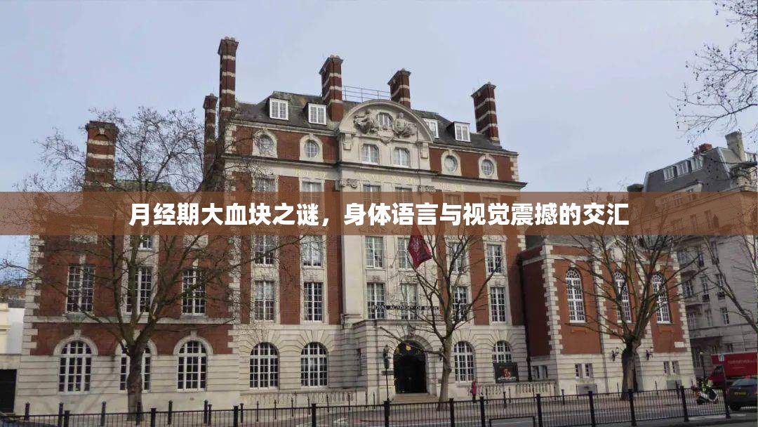 揭秘月經(jīng)期血塊，身體信號與視覺沖擊的交織