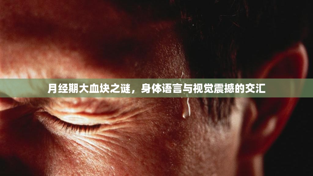 揭秘月經(jīng)期血塊，身體信號與視覺沖擊的交織