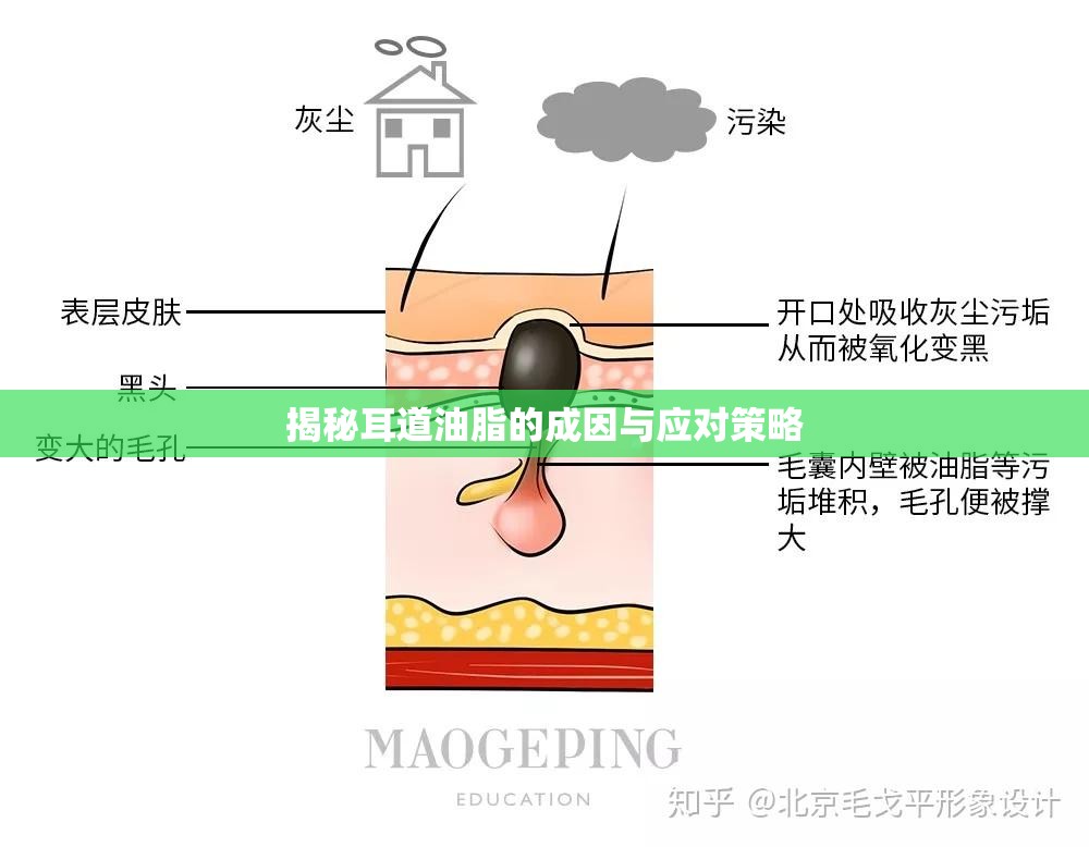 耳道油脂揭秘，成因解析與科學(xué)應(yīng)對
