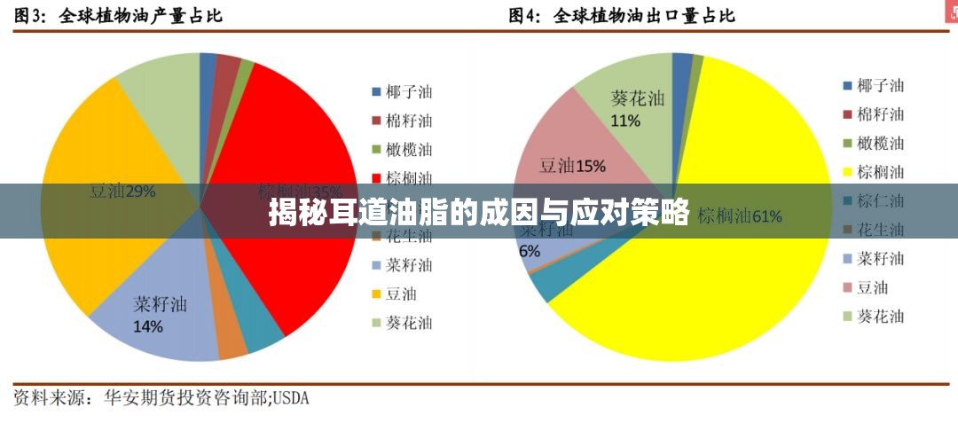 耳道油脂揭秘，成因解析與科學(xué)應(yīng)對