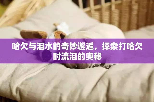 揭秘哈欠與淚水，打哈欠時流淚的科學(xué)解釋