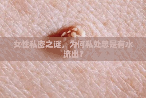女性生理現(xiàn)象，私處分泌物的科學(xué)解釋
