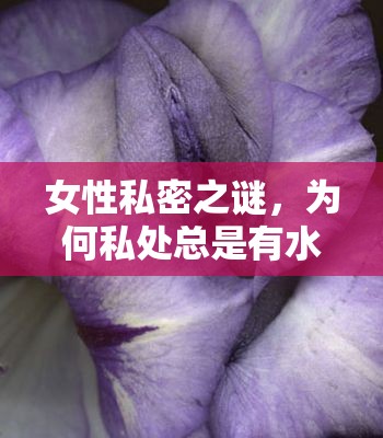 女性生理現(xiàn)象，私處分泌物的科學(xué)解釋