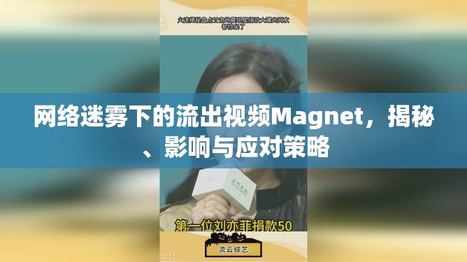 網(wǎng)絡(luò)迷霧中的Magnet視頻，揭秘、影響與應(yīng)對(duì)策略