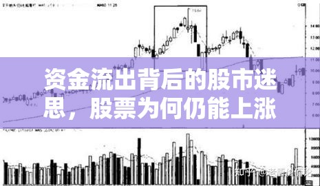 股市悖論，資金流出與股價上漲之謎