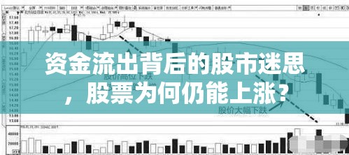 股市悖論，資金流出與股價上漲之謎