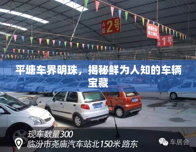 平塘車界明珠，探索不為人知的車輛寶藏