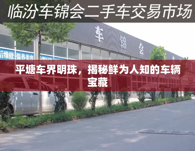 平塘車界明珠，探索不為人知的車輛寶藏