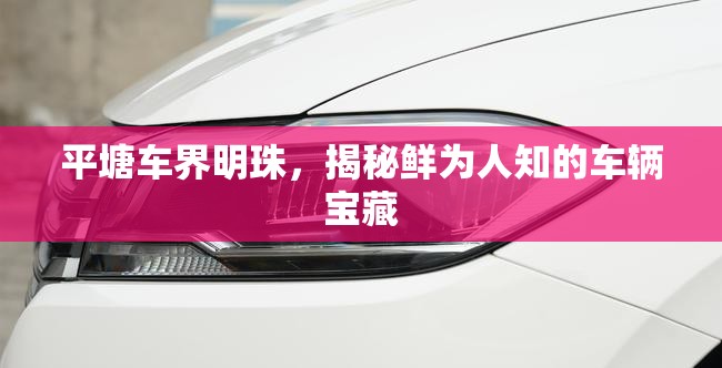 平塘車界明珠，探索不為人知的車輛寶藏