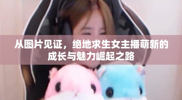 絕地求生，女主播萌新的成長蛻變與魅力展現(xiàn)