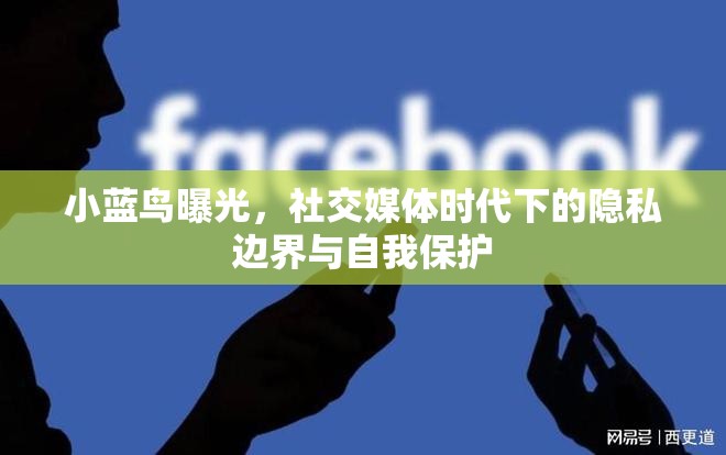 社交媒體時代隱私保護，小藍鳥事件的啟示