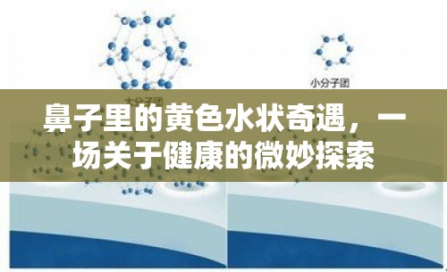 鼻腔黃色分泌物，健康探索之旅