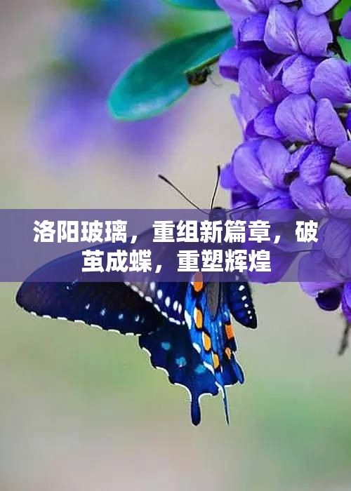 洛陽玻璃，重組蛻變，開啟輝煌新篇章