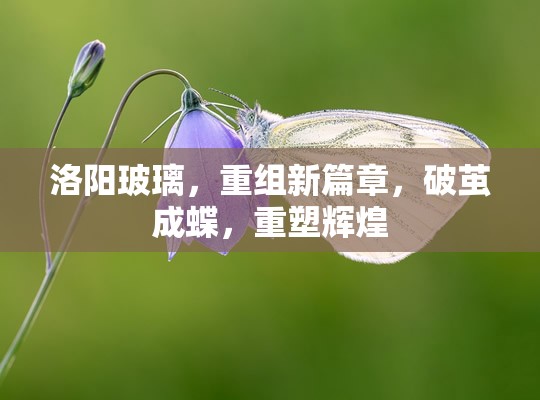 洛陽玻璃，重組蛻變，開啟輝煌新篇章