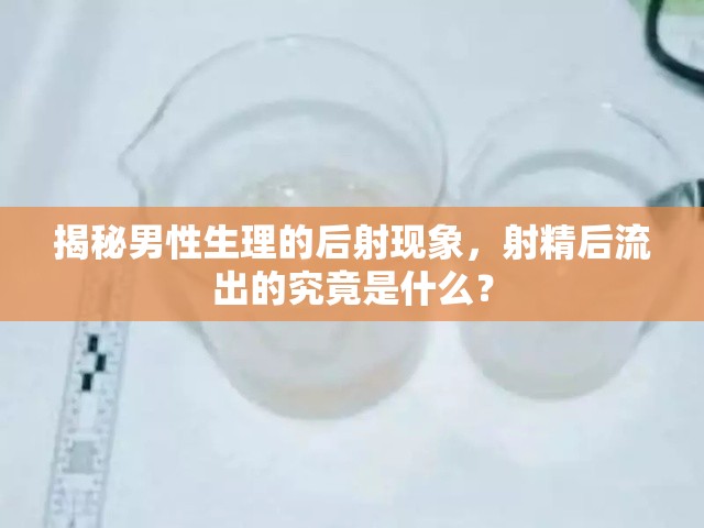 男性生理揭秘，射精后流出物的真相