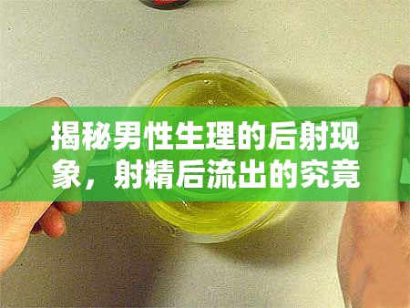 男性生理揭秘，射精后流出物的真相