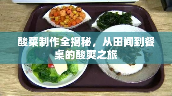 酸菜的酸爽之旅，從田間到餐桌的制作揭秘